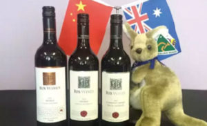 Media coverage highlights -Xinhua news, Austrade